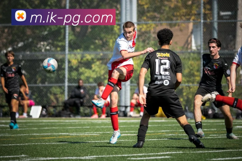 pg电子平台生态图